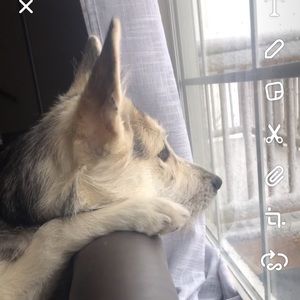 Meet your Posher, Ezree